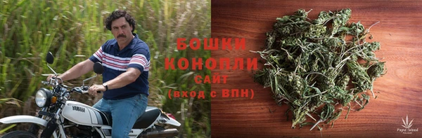 круглые Рославль