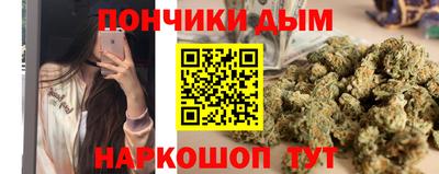 гидропоника Будённовск