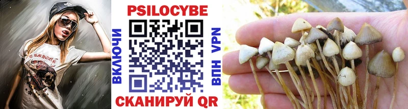 Галлюциногенные грибы мухоморы купить закладку Омск