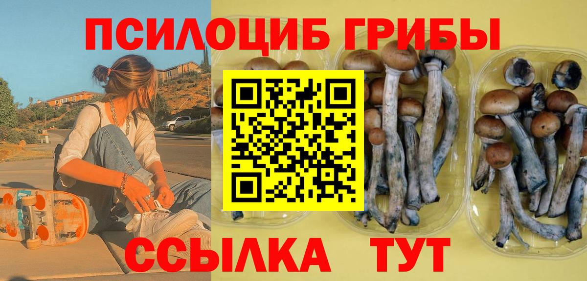 Омск  Галлюциногенные грибы GOLDEN TEACHER  Вход с VPN  Псилоцибиновые грибы Psilocybine cubensis 