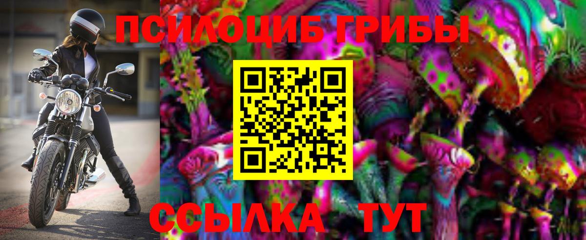 Псилоцибиновые грибы мухоморы Омск