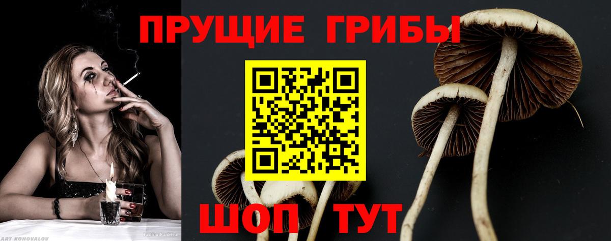 Галлюциногенные грибы прущие грибы Омск